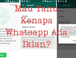 Mau Tahu Kenapa Whatsapp Ada Iklan? Simak Disini