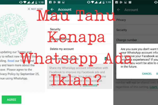 Kenapa-Whatsapp-Ada-Iklan